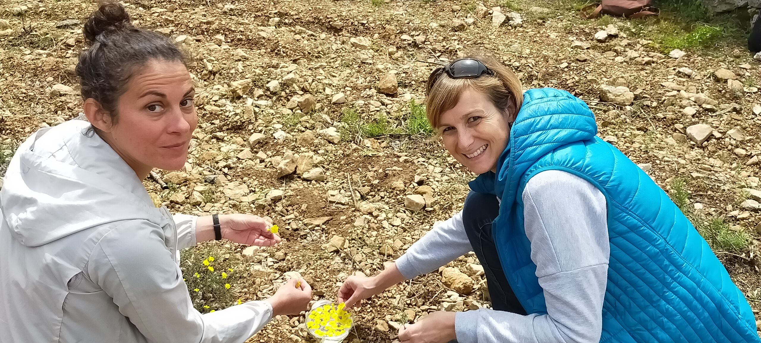 naturopathe marseille fleurs de bach