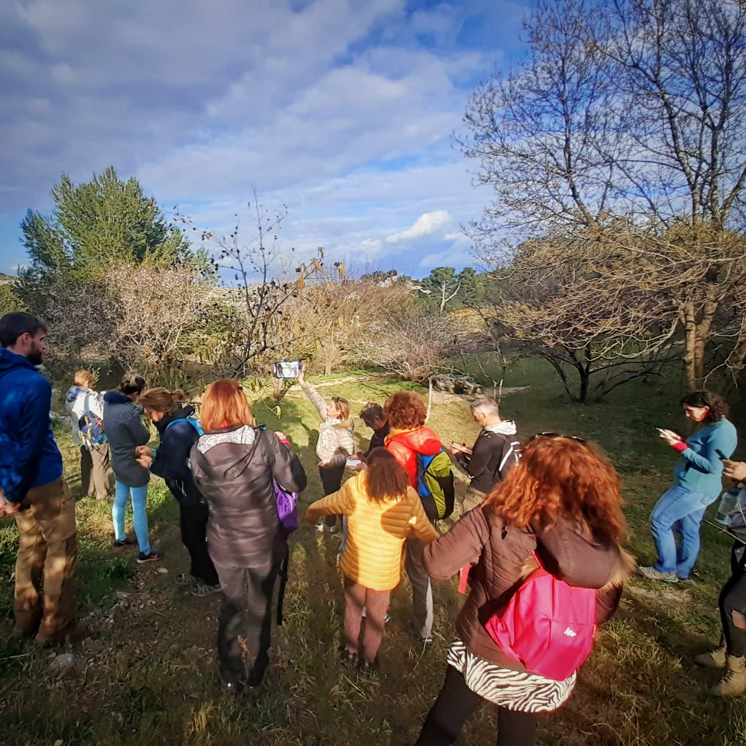 decouverte plantes fukari marseille