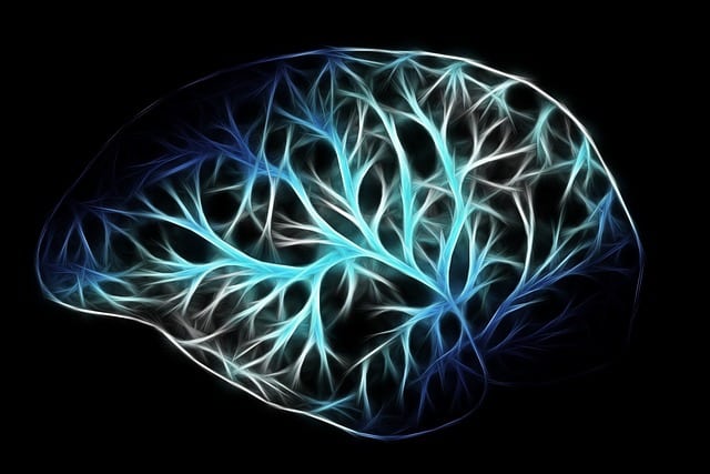 Cerveau qui représente les bénéfices du jeûne intermittent au niveau cognitif