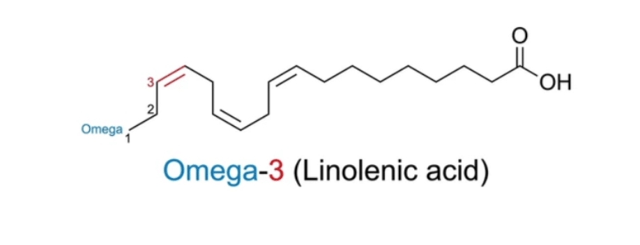 omega 3 - acide gras poly-insaturé