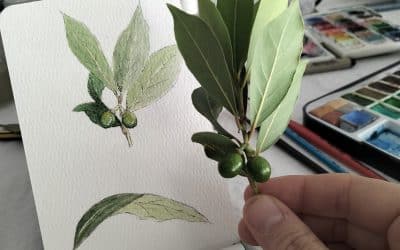 Botanique et Aquarelle