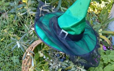 A la découverte des Plantes Sorcières